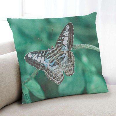 Insects Butterfly 4 Throw Pillow