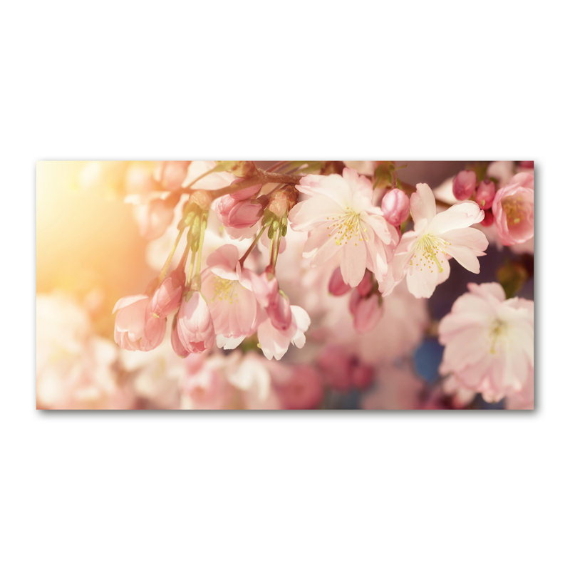 Cherry Blossoms - No Frame Print on Canvas