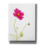 «Magenta Cosmos I» par Debra Van Swearingen, art mural sur toile-1268497088