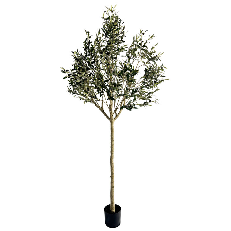 Olive artificielle olive naturelle, H 90 po x l 7,3 po x P 7,3 po