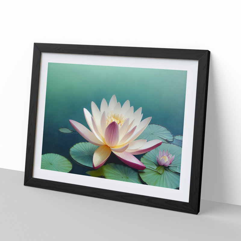 XH1022-2008X Classic Water Lily Flower - Single Picture Frame Print, Black, 46cm H x 64cm W x 2cm D
