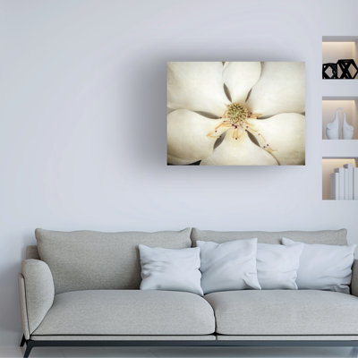 Debra Van Swearingen Magnolia Detail I Canvas Wall Art