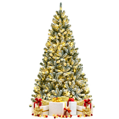 Lighted Pine Christmas Tree