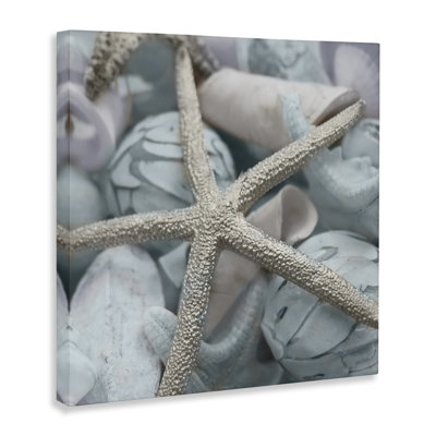 Starfish & Various Shells Canvas Wall Art by Susan Bryant
