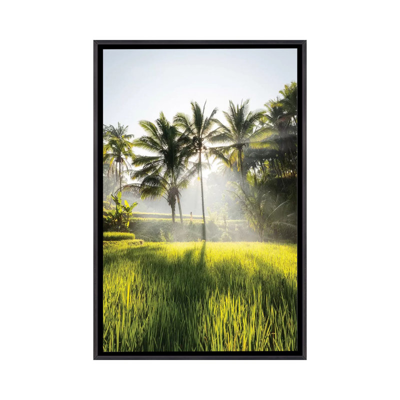 Bali II par Daisuke Uematsu - reproduction de photo, Pas de tapis, H 32 po x l 48 po x 1,5 po, Toile avec cadre noir patiné