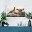 « Pl 334 Ruddy Duck »-reproduction sur toile tendue-1521016598