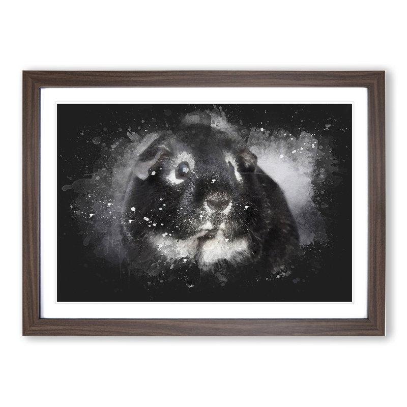 Guinea Pig - Picture Frame Graphic Art, 36cm H x 48cm W x 2cm D, Walnut Framed