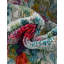 Tapis multicolore abstrait Hashimoto-120341607