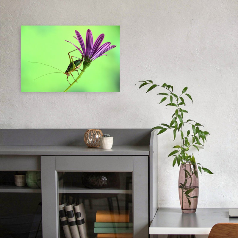 Grasshopper On Purple Bloom Delicate Peaceful Vibrant Grasshopper Flower Nature Wall Art Print 1 Piece Wrapped Canvas Wall Art
