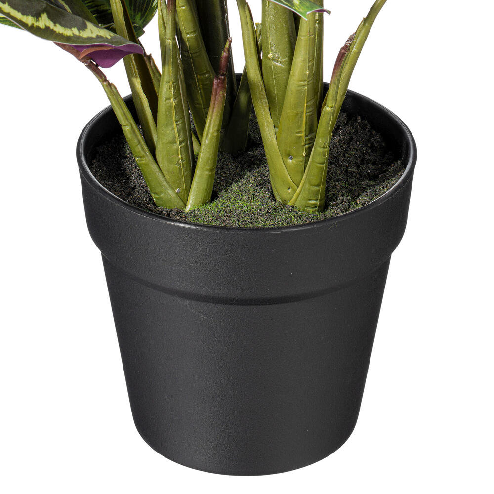16.1'' Faux Calathea Plant in Pot