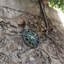 Purcell Wall Clock