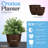 Cronus Pot Planter-1786030421
