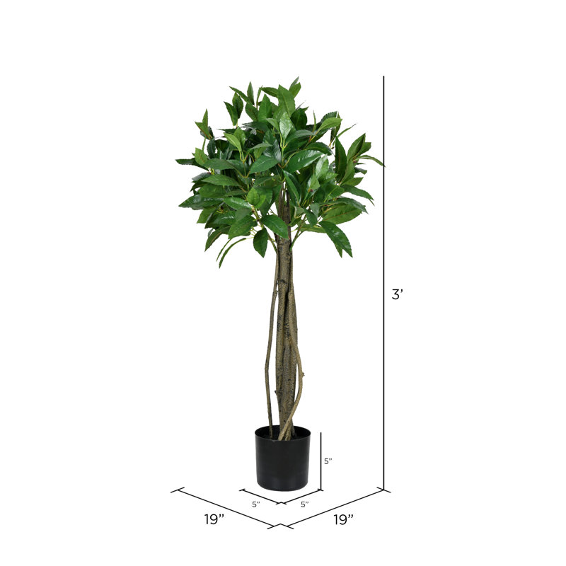 Arbre à feuilles de laurier artificiel, H 36 po x l 19 po x P 19 po