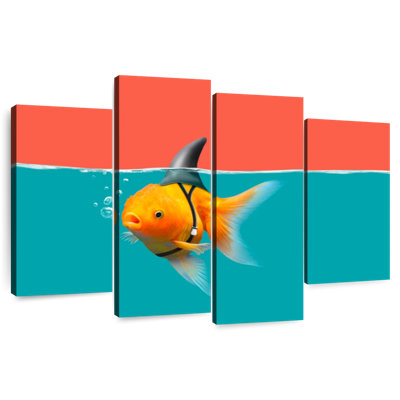 Brampt Goldfish As A Shark