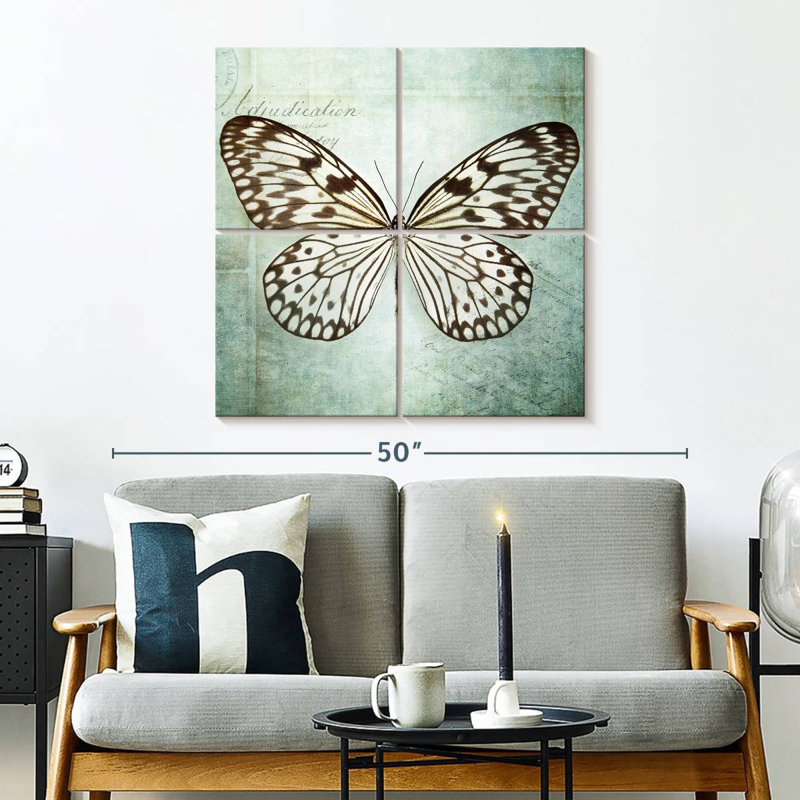 Brampt papillon français VI
