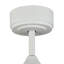 Oxfield 137cm Ceiling Fan with LED Lights-900516394