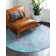Oriental Indoor Rug