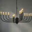 Claude 16 - Light Chandelier