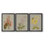«Botanical Array I», ensemble de 3 impressions sur toile encadrées-1436849650-1436849548
