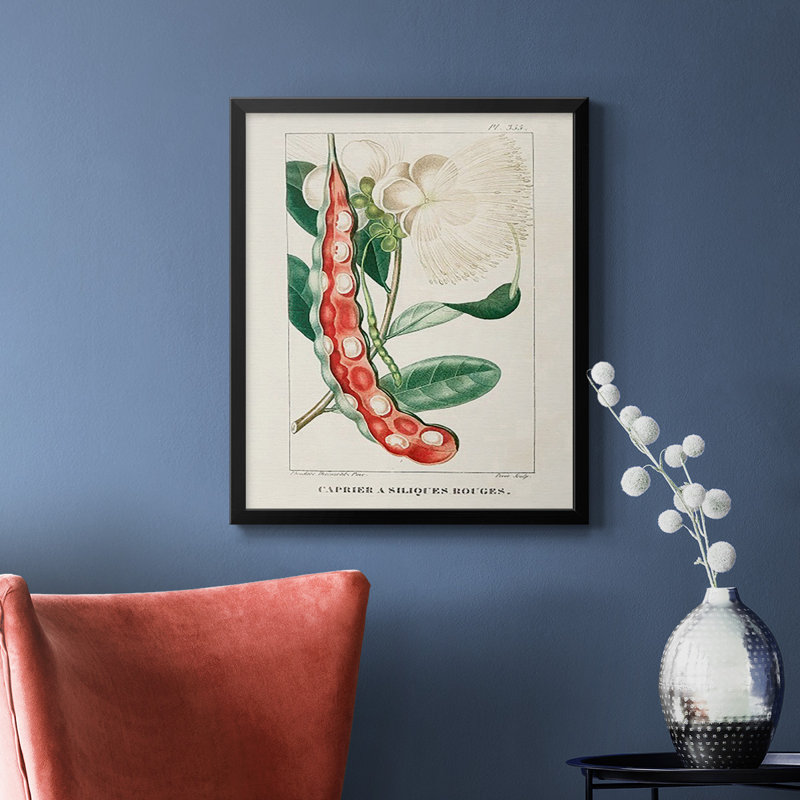 Toile encadrée Turpin Tropical Botanicals, H 24 po x l 20 po, Noir
