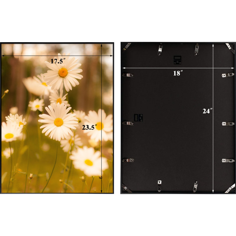 Ayden Metal Poster Picture Frame  with Real Glass, Black, 18.46" H x 24.49" W x 0.83" D