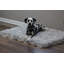  Tapis pour chien Puprug Runner-562120706-562120719