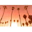 « juste une autre chaude west coast evening », reproduction d’art sur toile tendue-343047325