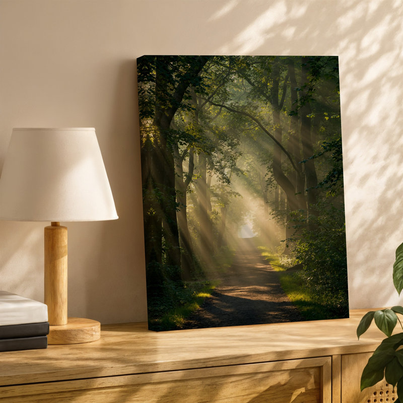 Toile, "Serene Forest Scene Doting A Narrow Winding Path Illuminated", art par Soft Golden Sunlight, H 20 po x l 16 po