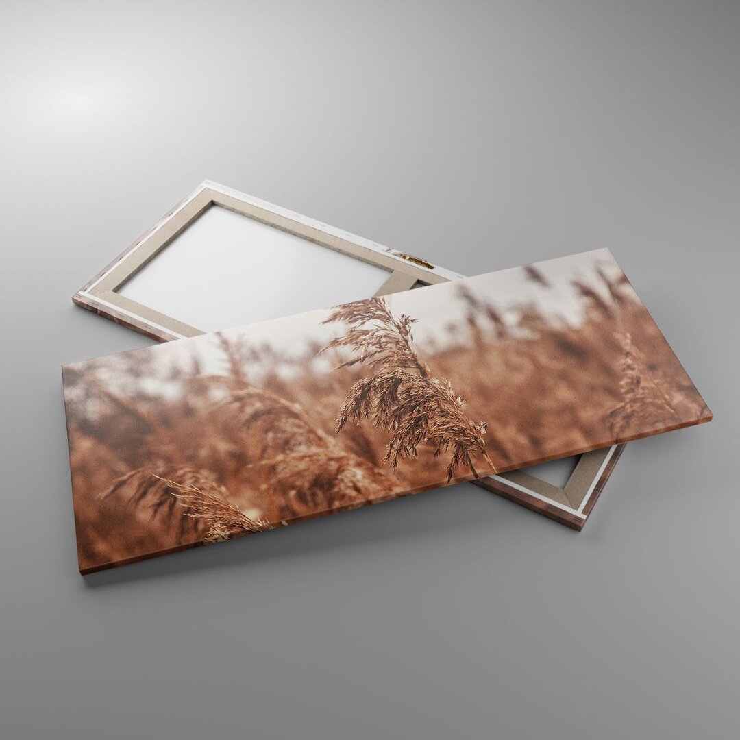 Leinwandbild Cane Meadow Boho