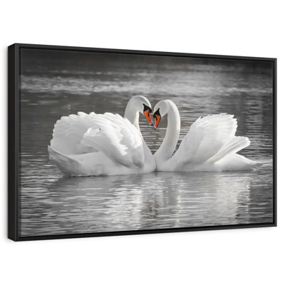 Couple de cygnes amoureux