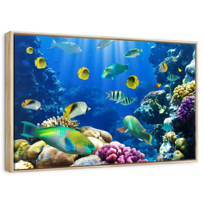 Underwater Sea Creatures