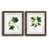Walnut Framed Paper is unavailable