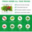 Raised Garden Extension Kit