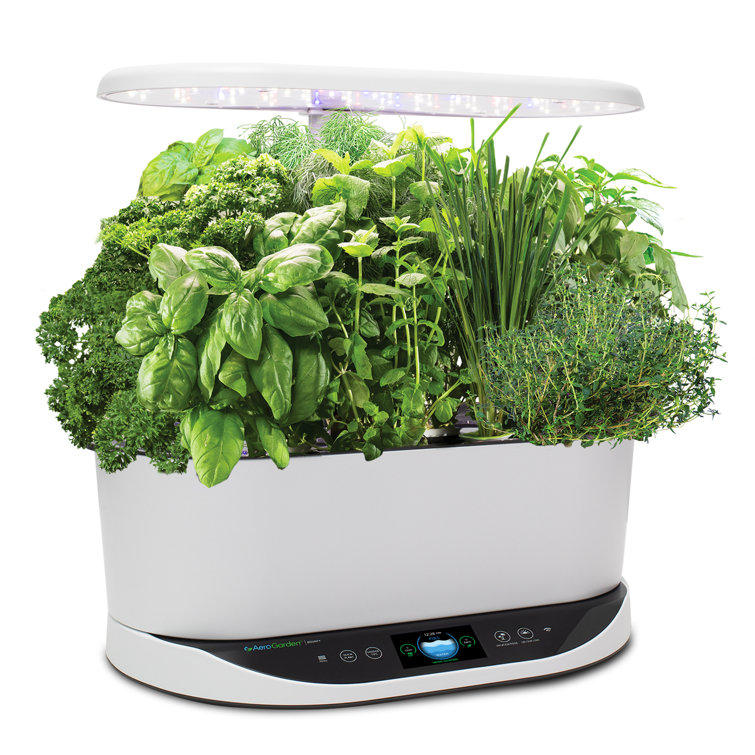 AeroGarden Review