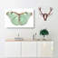 Laertes Butterfly by George Shaw - Wrapped Canvas-55365524