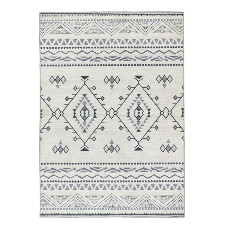 Zumbrota Moroccan Area Rug, Rectangle 80cm x 150cm