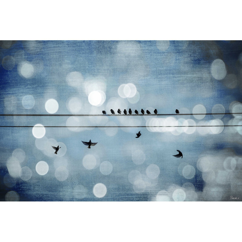 Parvez Taj - Wrapped Canvas Print, 61cm H x 91cm W x 5cm D