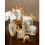 BUTTERFLY COLLECTION Metal Picture Frame
