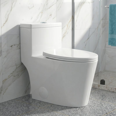 Modern One-Piece Elongated Dual Flush Toilet, 1.1/1.6 GPF, Siphonic Flush, 1000g MaP, Skirted Design, Soft-Close Quick-Release Seat