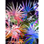 Tropical Foliage 2 Print by Angel Estevez-65858995-132455035