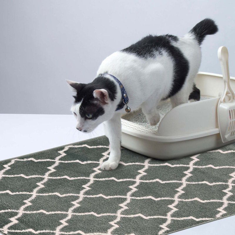 Tapis de litière, Bleu sarcelle