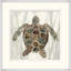 Layered Sea Turtle 2 Painting