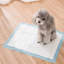 Litter Mat