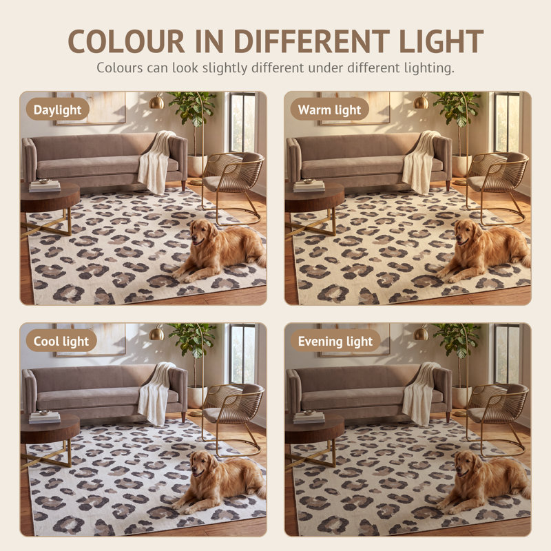 Tapis de salle à manger Biddlesden, Rectangle 6 pi 7 po x 8 pi 6 po