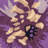 Spence Novelty Hand Tufted Wool Floral Rug-1795909522