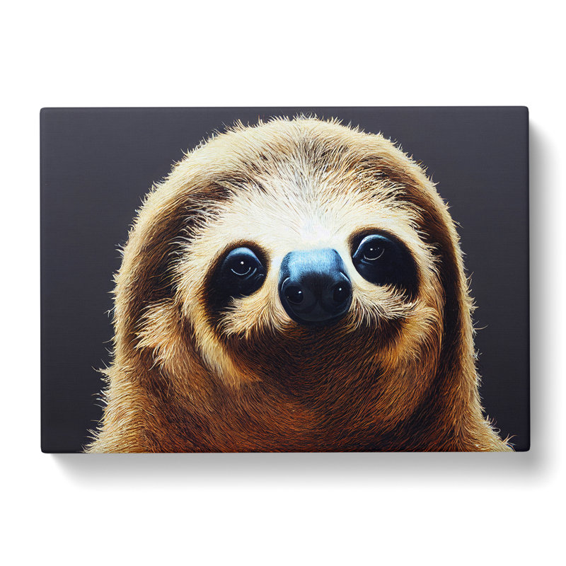 Cute Sloth - Wrapped Canvas, 50cm H x 76cm W x 3cm D