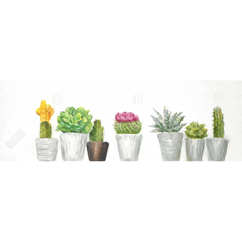 " Mini Cactus And Succulents "