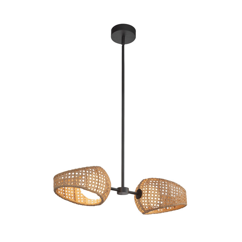 Luminaire suspendu à DEL 2 lumières Lanai