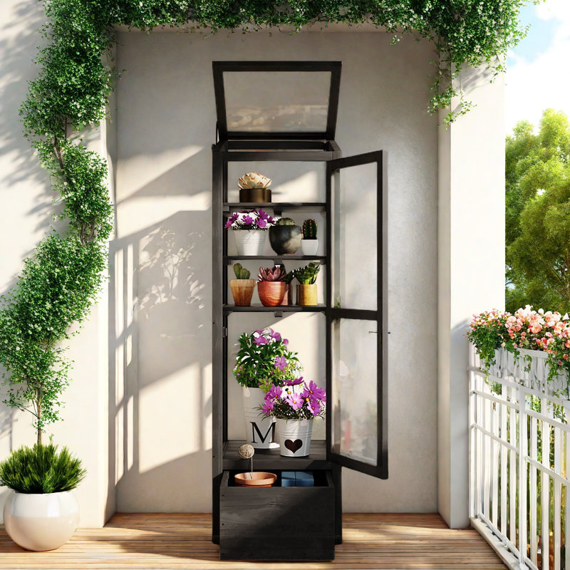 Black Fir Wood Garden Greenhouse with Adjustable Shelves and Storage Box