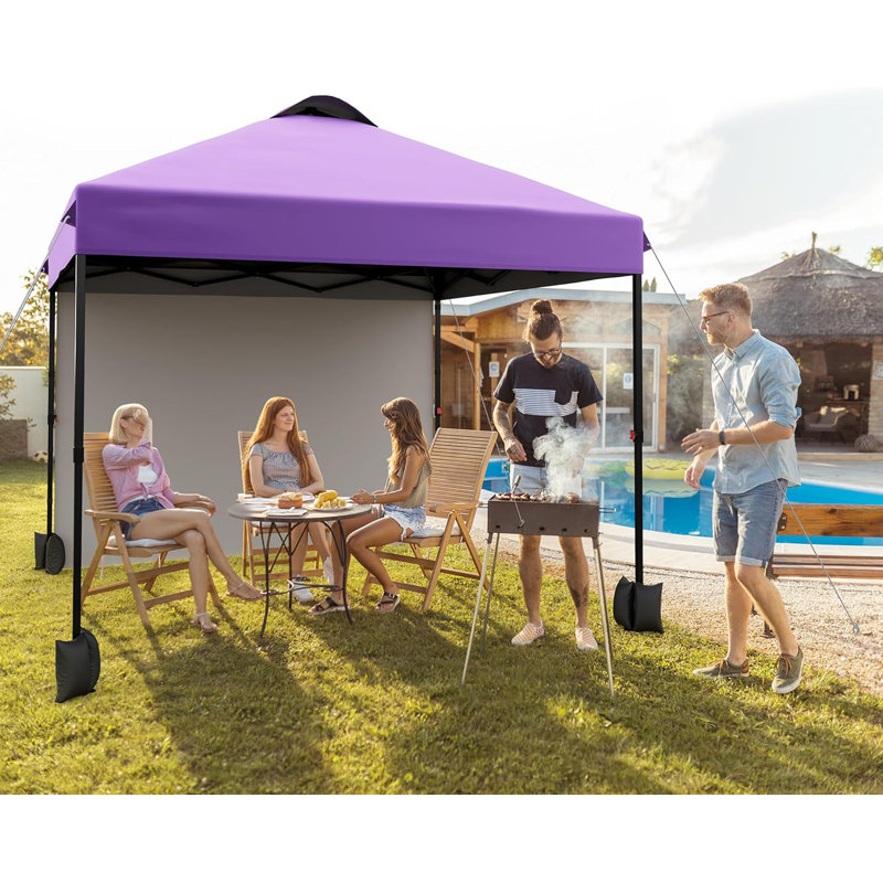 10' X 10‘ Pop Up Canopy With Sidewalls For Outdoor, Waterproof Portable Canopy With One Push Setup, Purple